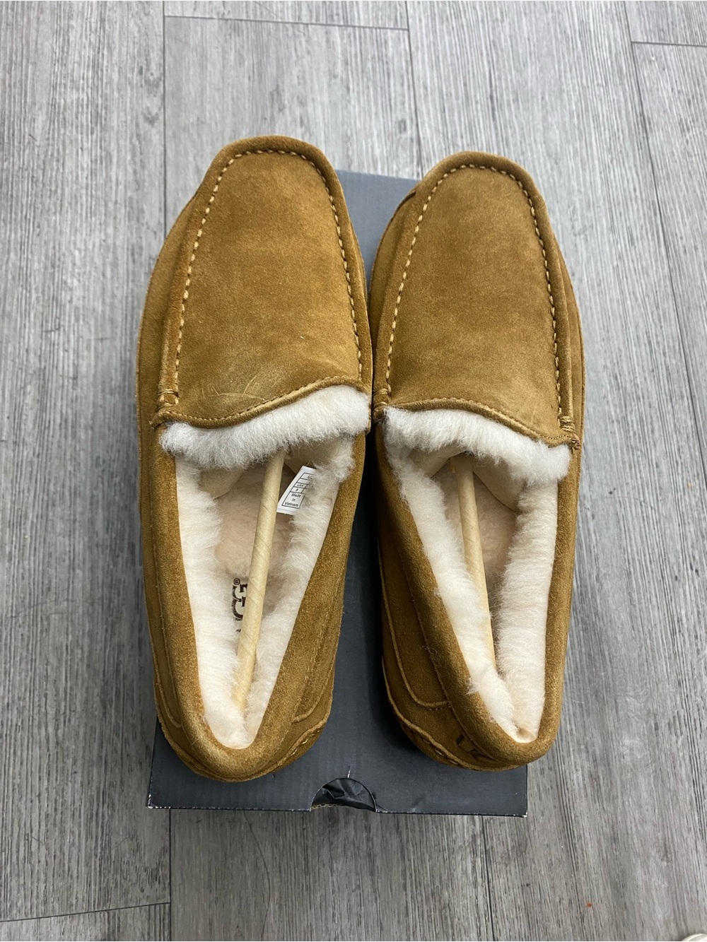 UGG Mascot Men’s Slippers / Indoor Shoes – CHE Chestnut
